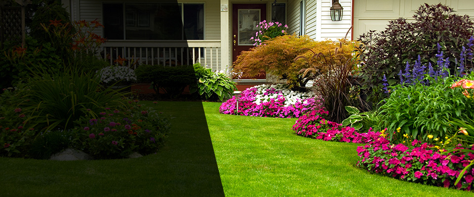 Saline Landscapers